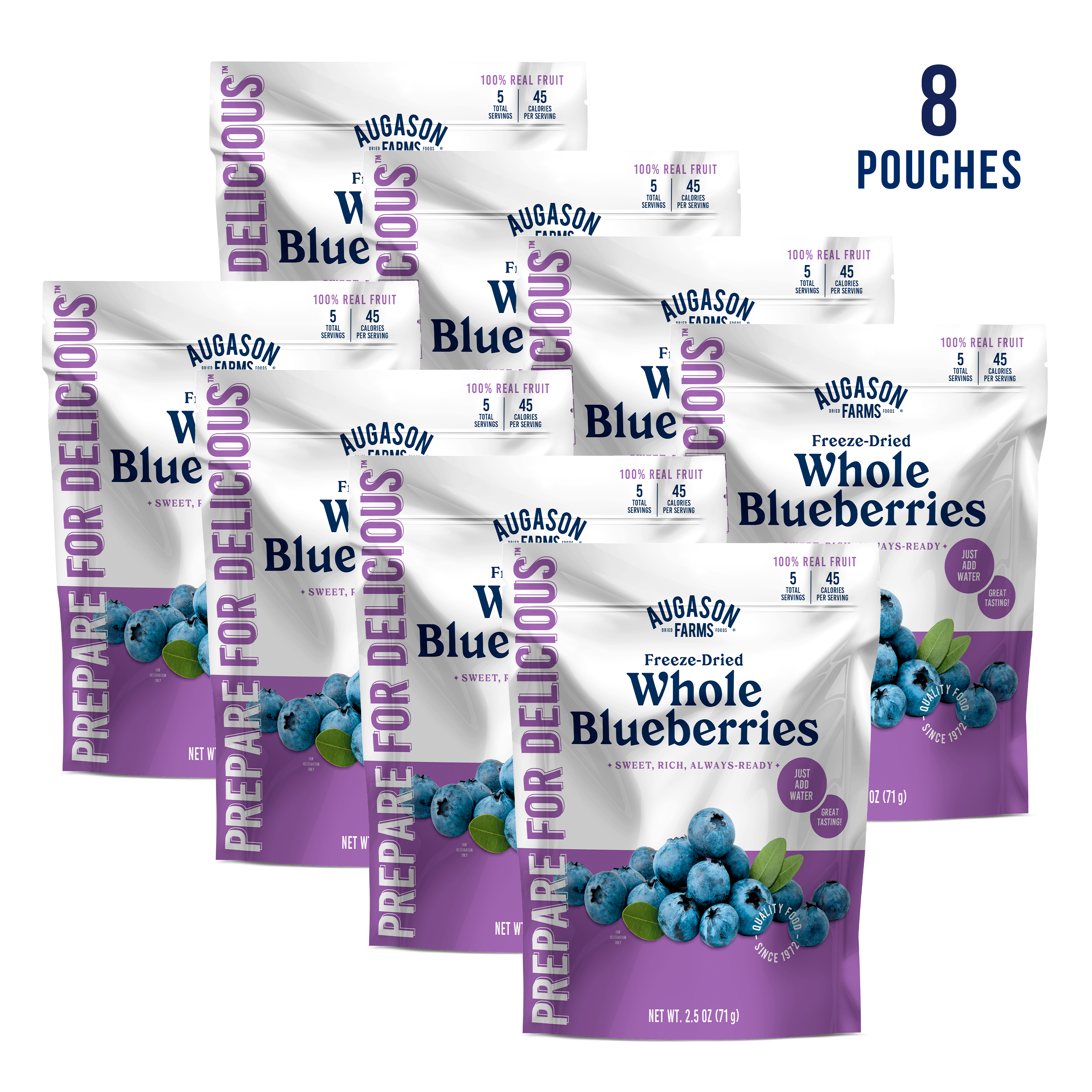 Freeze Dried Whole Blueberries Pouch, 5 Servings