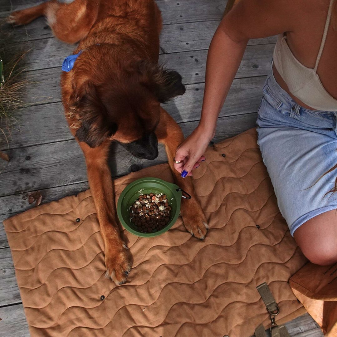 Trekk Convertible Travel Mat - Portable Canvas Bed for Dogs & Humans | Camping, Concerts, Picnics