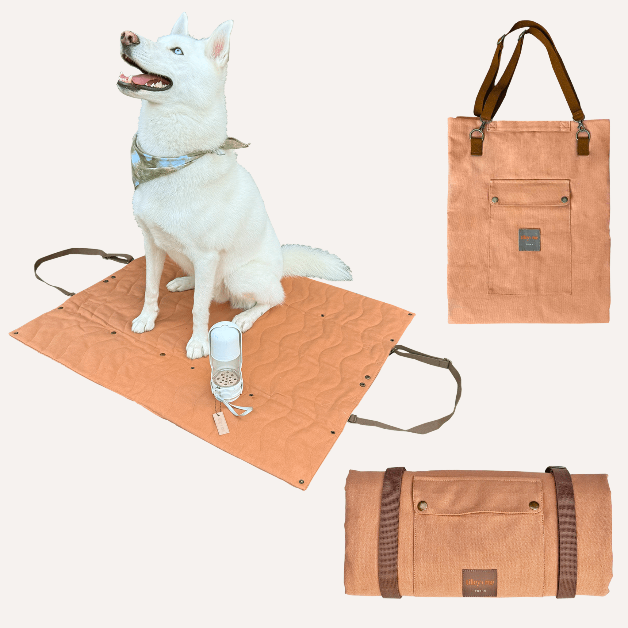 Trekk Convertible Travel Mat - Portable Canvas Bed for Dogs & Humans | Camping, Concerts, Picnics