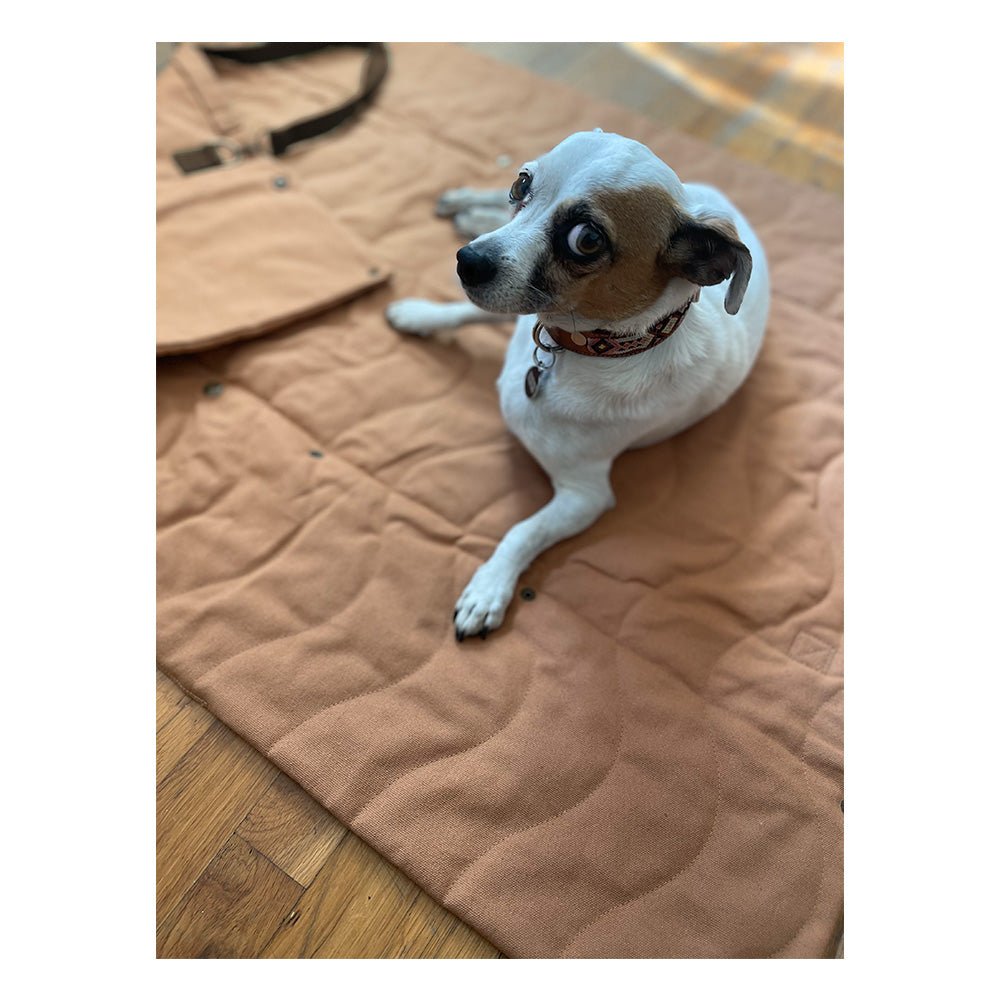 Trekk Convertible Travel Mat - Portable Canvas Bed for Dogs & Humans | Camping, Concerts, Picnics
