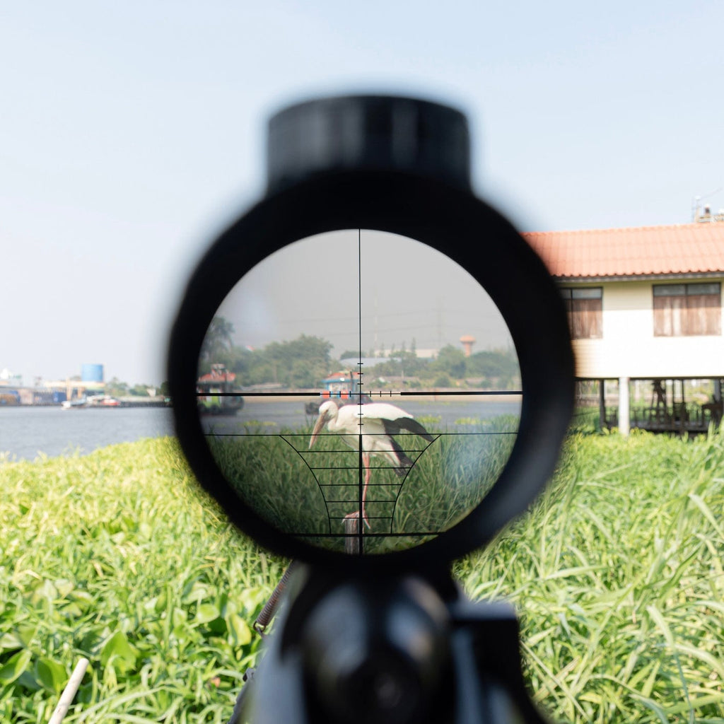 SFT2 ModScope (Multiple Options)